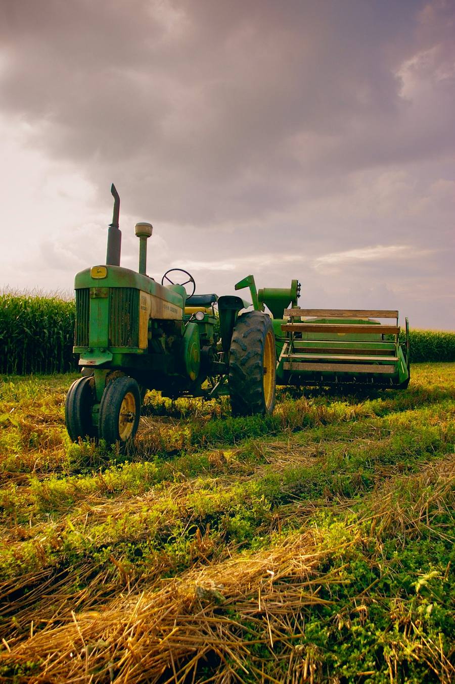 Tractor agrícola verde estacionado junto a un maizal